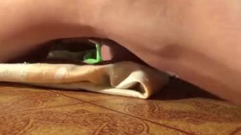 Sexy Russian youngster screwed by the household animal