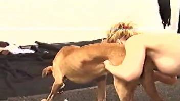 Big tits blonde having fun with a dog in a hot vid