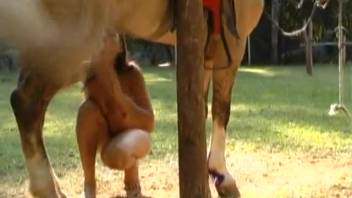 Attractive chick with huge tits blows her cute pony