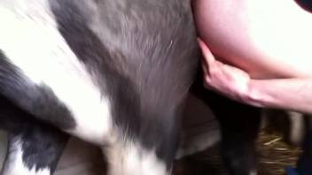 Naked guy takes whole horse dick deep in his ass