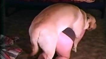 Nude female doggy fucked from behind and soaked in sperm
