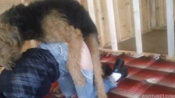Canine rips apart owner's denim pants and begins screwing her