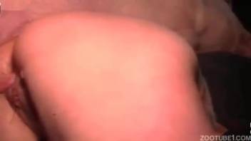 Attractive woman with curvaceous buttocks is vigorously fucked by a massive pink pig