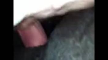 Sexy guy dominates a female horse's pussy with his cock