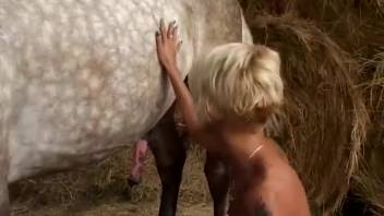 Blonde with cropped hair blowing a horse's massive dick