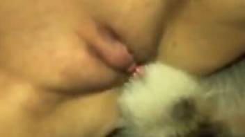 Close-up movie focusing on a hairless pussy zoophile
