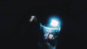 Late-night bestiality blowjob experiment by a guy with a hard dick