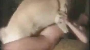 Wet pussy zoophile getting fucked on all fours