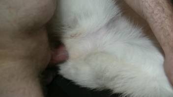 Guy reveals a wild girl's cunt before fucking it