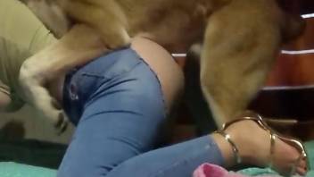 Hottie in ripped jeans fucked by a brown beast