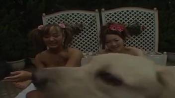 Canines satisfying alluring ladies in the top adult video moment