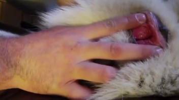Alluring wild vagina being finger-fucked in front of the camera