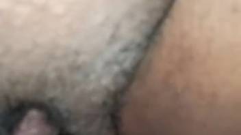 Shaved vagina beast lover receiving oral from a canine