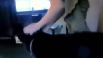 Curvy-ass chick getting pounded by a lusty dog
