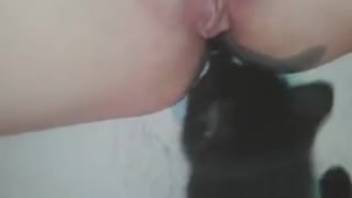 Lone woman tongued by a tiny feline in premium adult clip