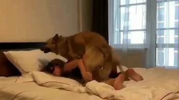 Masked lady worships dog penis while on the bed