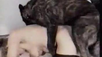 Naked mature women divide dog's cock in ruthless threesome