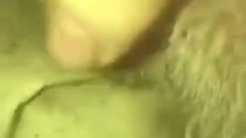 Intimate bestiality footage with trembling climaxes