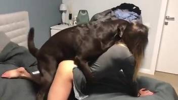 Brunette with a firm booty enjoys doggystyle sex