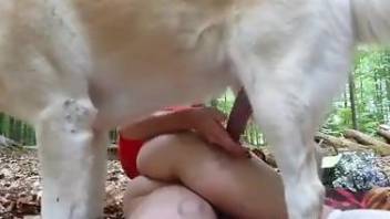 Curvy ass babe shares naughty outdoor zoo kinks with the dog