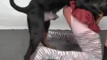 Tattooed vagina blonde gets pounded by a ebony canine
