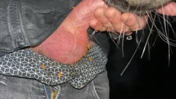 Guy's tiny dick is being tongued by a pup