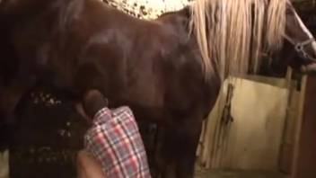 Naked rancher directs the stallion's penis toward his buttocks