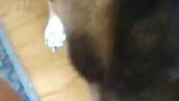 Tasty bestiality-loving cunt being tongued in point-of-view