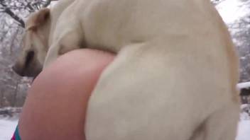 Ethereally pale slut being screwed by a hot mongrel