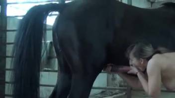 Blonde babe idolizes a horse's massive shaft