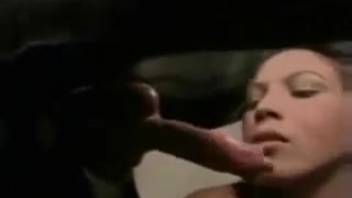 Blond babe displays her blowjob talents with an excited pooch