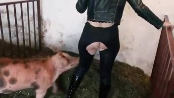 Twisted pig using its dick to bring orgasmic pleasure