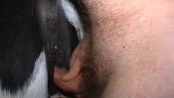 Attractive man with an erect cock indulging in intense lovemaking