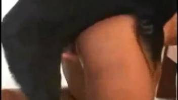 Sun-kissed vixen with hanging breasts, genuine canine smut filmed indoors
