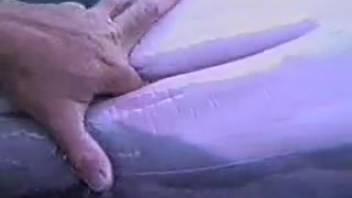 Filthy animal lover thrusts his rigid digit into the moist opening of an alluring dolphin
