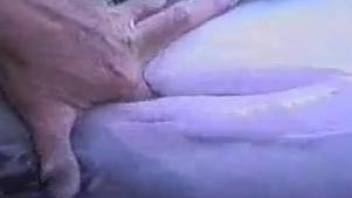 Dude fingering this animal's pussy and its' hot