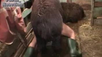 Huge farm animal pounded her accurate wet cunt from behind