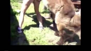 Genuine stiff stallion dick penetrating her eager opening