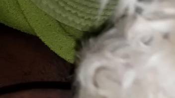 Guy stuffs his thick dick into an obedient pup