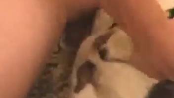 Guy banging a wild vixen with his enormous thick rod