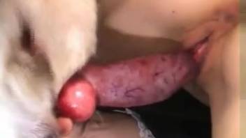 Aggressive beast anal sex transforms the woman into a total whore