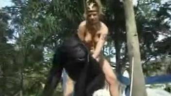 Busty woman shows real zoophilia with a chimp