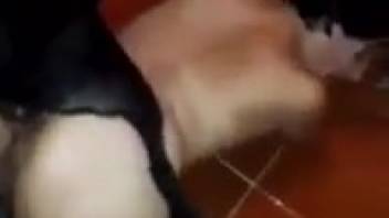 Slender woman with pierced vagina withstanding canine sexual deviations on webcam