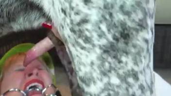 Inked woman with alluring lips craves that hound to wreck her