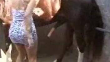 Curly-haired Latina sucking a horse's massive cock