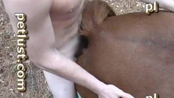 Male zoophile fucks a brown horse in doggy style pose