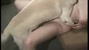 Pale pooch receives oral from a plump older woman
