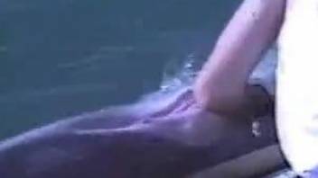 Man finger fucks dolphin in crazy outdoor zoo XXX play