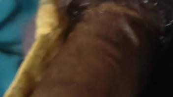 Aroused ebony guy gets excited as a snail slithers along his cock