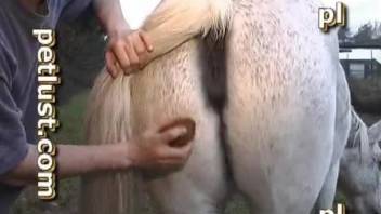 Sexy ponies are getting hardly penetrated by farmers